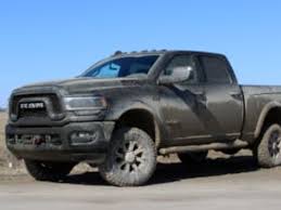 Image result for Power Tan 2020 Ram