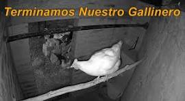 Terminamos Nuestro Nuevo Gallinero - Miercoles 5 Junio del 2024 - Resumen  de la Construccion