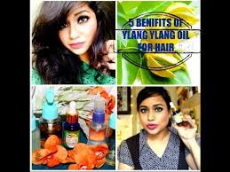 When it is massaged into the hair follicles, it helps stimulate hair growth and help you grow hair longer and thicker. Top 5 Uses Of Ylang Ylang Essential Oil For Beautiful Hair Youtube
