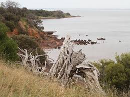 Below map you can see newhaven street list. Newhaven Vic Aussie Towns