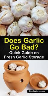Does Garlic Go Bad Quick Guide On Fresh Garlic Storage In 2020 Fresh Garlic Garlic Garlic Storage
