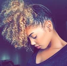Curly Pony Natural Hair Styles Curly Hair Styles Naturally Curly Hair Styles