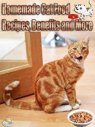 Homemade Cat Food Recipes Benefits And More Coffee Break Time Homemade Cat Food Cat Food Diy Cat Food