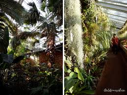 Der botanische garten der universität freiburg schließt ab dem 2. Sommer Im Winter Die Gruson Gewachshauser In Magdeburg