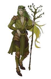 Oc Ferryn An Eladrin Elf Druid Characterdrawing Elf Druid Elf Characters Fantasy Character Design