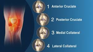 1, 2, 3 most injuries to the medial supporting structures occur as a result of valgus forces, applied as direct blows to the lateral aspect of the thigh or upper leg. Collateral Ligament Injuries Knee Pain Info