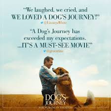 Cuando cj necesita un amigo, baley estará ahi aunque tome muchas vidas. A Dog S Journey Photos Facebook