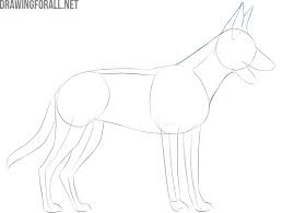 How To Draw A Dog