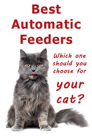It is created for multiple cats that can help keep you and your furry friends happy at any time. Best Automatic Feeders For Cats Including 17 Detailed Reviews Thecatsite Articles