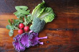 Maybe you would like to learn more about one of these? 5 Early Spring Veggies You Can Plant Now Smart Pot Blog