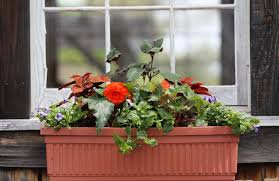 There's no shortage of storage opportunities to discover with this large deck box from suncast. Top Picks For Container Gardens Window Boxes The Boston Globe