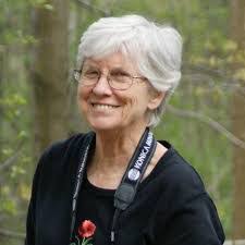 Lisa Ferranti's Instagram, Twitter & Facebook