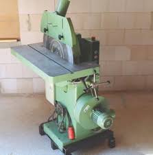 Image result for Frommia