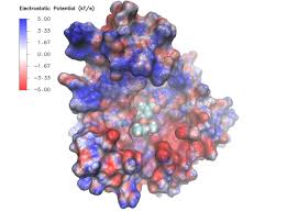 This comes with everything you need to get started with your cooking. Vmd 1 9 3