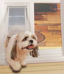 Check spelling or type a new query. Pet Patio Doors Cougar Windows Doors Mesa Az