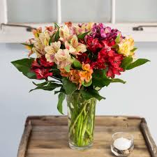 Alstroemeria colors alstroemeria flower color can be: Mixed Alstroemeria Bouquet By Coady Florist