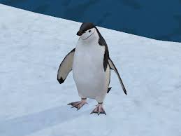 Penguin world king penguin eagles macaroni penguin south georgia island 2016 pictures beautiful beach decor set of 3 abstract ocean prints in teal blues. Chinstrap Penguin Endless Ocean Wiki Fandom