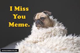 2021 Funny Miss You Memes For Him Or Her Motivation And Love There are so many ways of saying i miss you to your partner or counterpart. 2021 funny miss you memes for him or