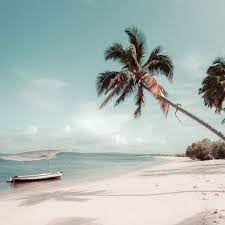 Conde Nast Traveller On Instagram It S Hard To Imagine Booking A Trip Right Now But We Will Travel Again And Ther Mozambique Beaches Best Travel Deals Trip
