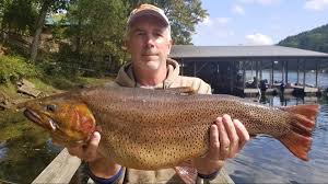Set just 45 yards from the white river in arkansas, stetson's on the white resort provides the finest in log cabin vacation rentals for families or large groups. Kansas Man S Cutthroat Trout Catch Breaks 32 Year Arkansas State Record Thv11 Com
