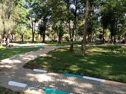 This hotel features a restaurant, an outdoor pool, and a bar/lounge. Kakamega S Muliro Gardens To Be Fitted With Wi Fi Photos Uzalendo News