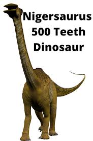 This is not a joke or drill, if he reached out to you recently or you have any information please contact me or the person tweeting this so the information can get passed back to his family. Nigersaurus 500 Teeth Dinosaur Facts Dinosaur Dinosaur Facts Animal Facts