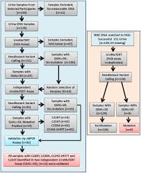 Bladder cancer occurs due to abnormal cell growth in the urinary bladder. Urinary Tert Promoter Mutations Are Detectable Up To 10 Years Prior To Clinical Diagnosis Of Bladder Cancer Evidence From The Golestan Cohort Study Ebiomedicine