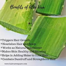 I learned that the use of aloe vera juice can actually help my afro texture hair cuticles to stay closed sealing in moisture. Benefits Of Aloe Vera Juice Or Gel For Hair How To Use It In 5 Ways Aloe Vera For Hair Fresh Aloe Vera Coconut Oil Hair