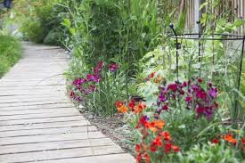 Shop the most popular, innovative watering products this season! 8 Steps To The Long Thin Garden Of Your Dreams The Middle Sized Garden Gardening Blog