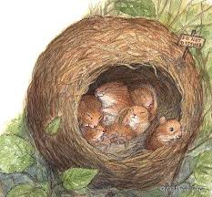 Field mouse facts & information how to identify & control field mice what is a field mouse? Highest Goal Scorer 2014 Petras Blog Illustration Animal Illustration Children Illustration