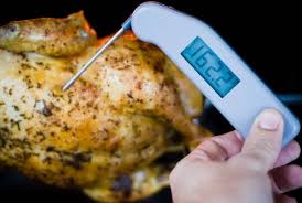 Thermapen Review Grilling Companion
