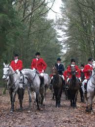Est on the fox news channel. Download Free Photo Of Hunting Horses Drag Autumn Fox Hunting From Needpix Com