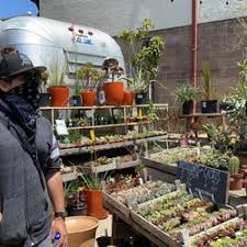 If you are searching for the best local plant nurseries, tree nurseries or garden nurseries near me in mesa, gilbert or queen creek, a&p nursery can help! Best Nurseries Near Me June 2021 Find Nearby Nurseries Reviews Yelp