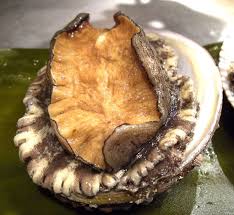 Biologically, abalone is a mollusk belonging to the gastropoda class. Awabi Abalone Are Very Precious Food In Japan By Ikechan Ikechan S Japanese Food Medium