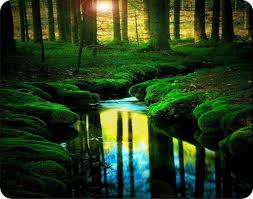 Mouse Pad Calm Creek Computer Mousepad New Beautiful Nature Nature Scenes Beautiful Landscapes