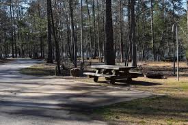 Com per le attrazioni locali. Clear Creek Recreation Area Outdoorsy