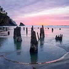 Neskowin Oregon Is Home To One Of The Most Fascinating Ghosts Forests In The Nation But It S Not Like A Fore Oregon Travel Oregon Road Trip Places To Travel