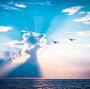 Profile Picture of Eric Martin Hockman's Obituary - Lancaster, OH, USA | Ever Loved (@everloved.com) on Google