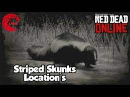 Maybe you would like to learn more about one of these? Striped Skunks Locations Rdr2 Online Red Dead Online Striped Skunks Location Guide Youtube