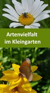 Wie Gestalten Wir Einen Insektenfreundlichen Garten Garten Insekten Kleiner Garten