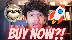 Can Sealana Repeat Slothana's Success and Become the Next Big Solana Meme  Coin?