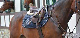 Apparel, english saddles & tack, footwear Saddle Pads How To Choose The Right One For Your Horse