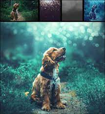 Pin On Photography