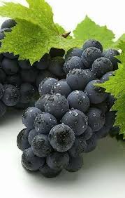 Http Nickcasale Juiceplus Com Fruits Et Legumes Fleurs Et Fruits Raisin