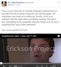 Quel wookie di un bigfoot