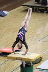ボード 女子体操選手 のピン