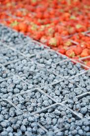 Why you should eat less nickel. Eating For A Nickel Allergy Skinny Chef
