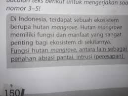 Check spelling or type a new query. Pertanyaan Yg Sesuai Dngan Kalimat Yg Telah Digarisbawahi Pada Teks Diatas Adalah Brainly Co Id