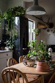 Cuisine Tendance 12 Idees Deco Amenagement Homelisty Deco Plantes Interieur Cuisines Deco Deco