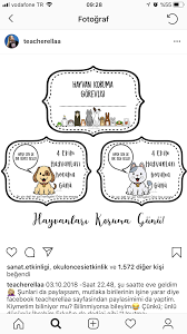 Funda Tarafindan Flas Kart Panosundaki Hayvan Goruntusu Hayvanlar Kedi